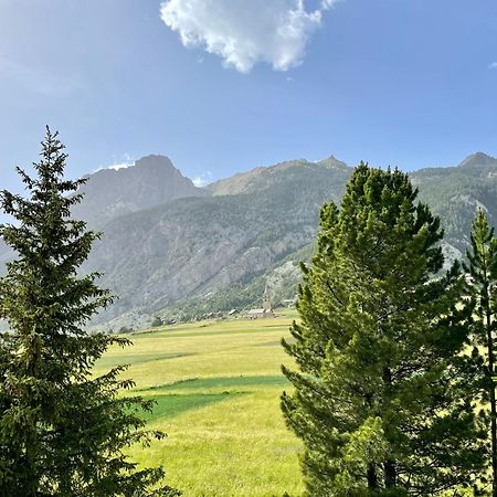 Gite Montagne 1 A 25 Places "Chalet Coste Belle" Ceillac Bagian luar foto