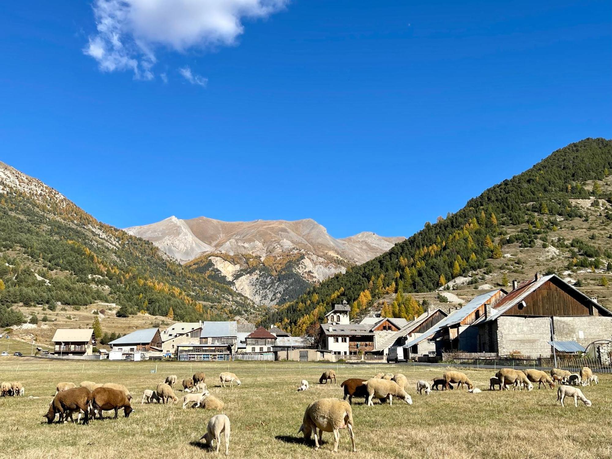 Gite Montagne 1 A 25 Places "Chalet Coste Belle" Ceillac Bagian luar foto